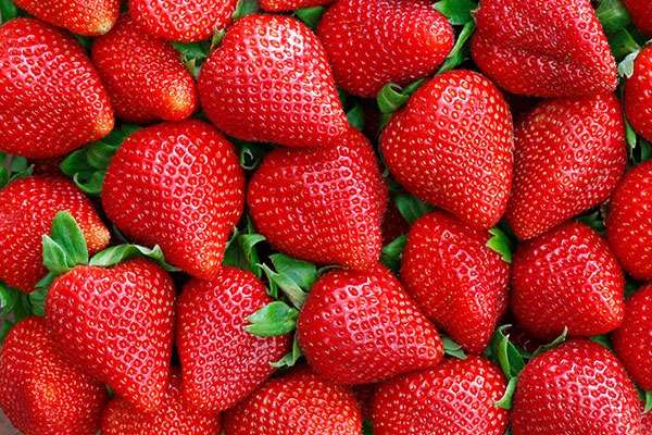 Fresas