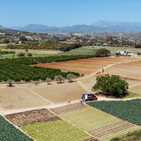campo